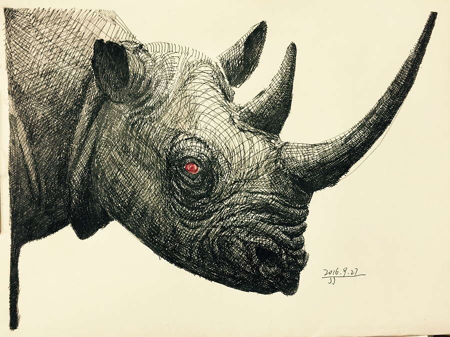 签字笔画--犀牛|其他艺创|纯艺术|吴瑾婧 - 原创设