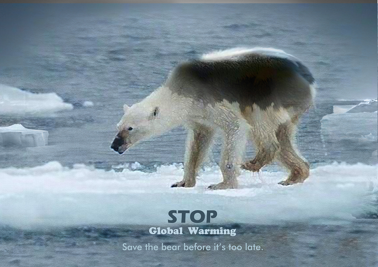 保护环境之保护北极熊