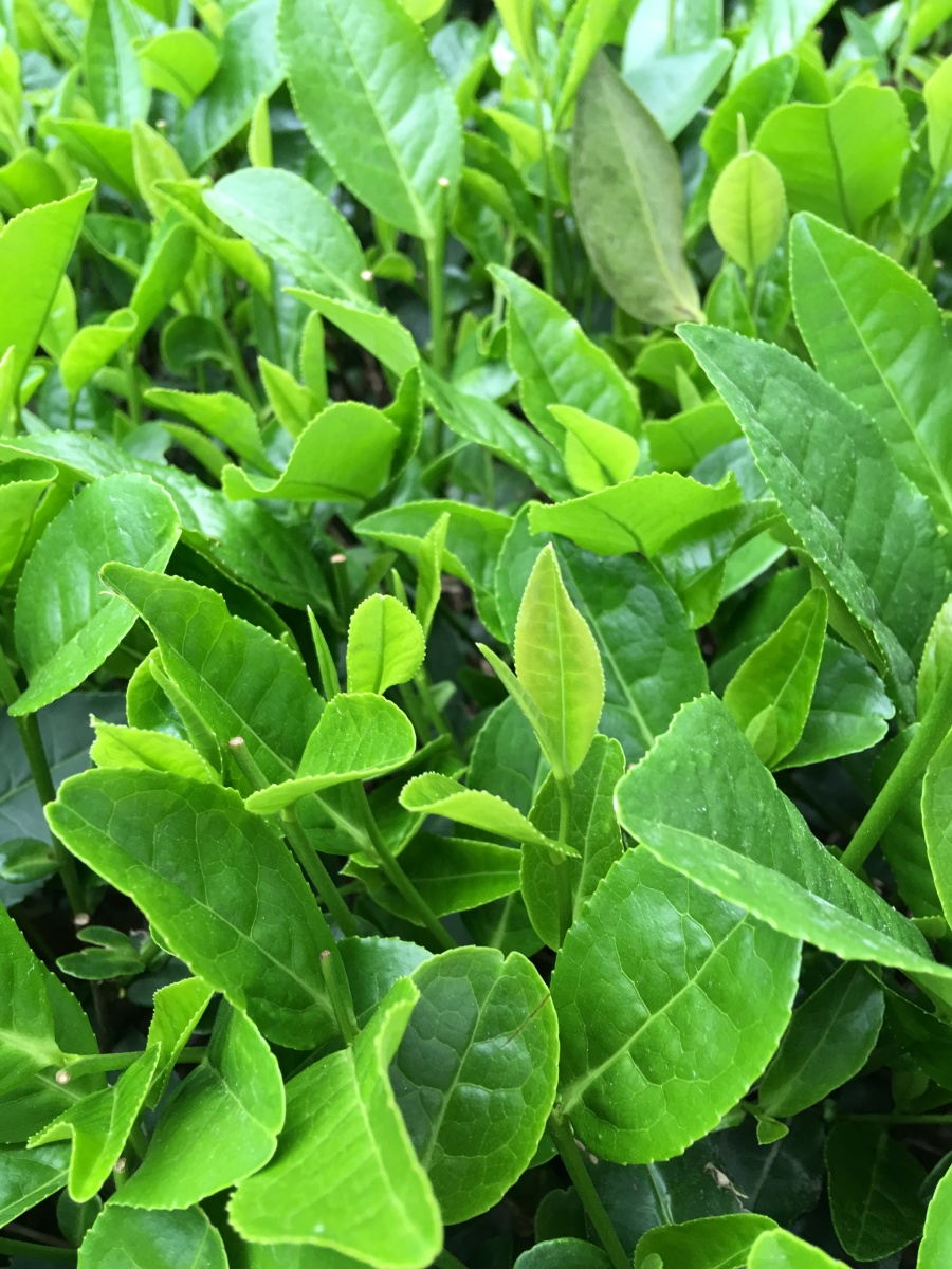 淘宝店铺需要找人设计,费用和要求私聊|电子商