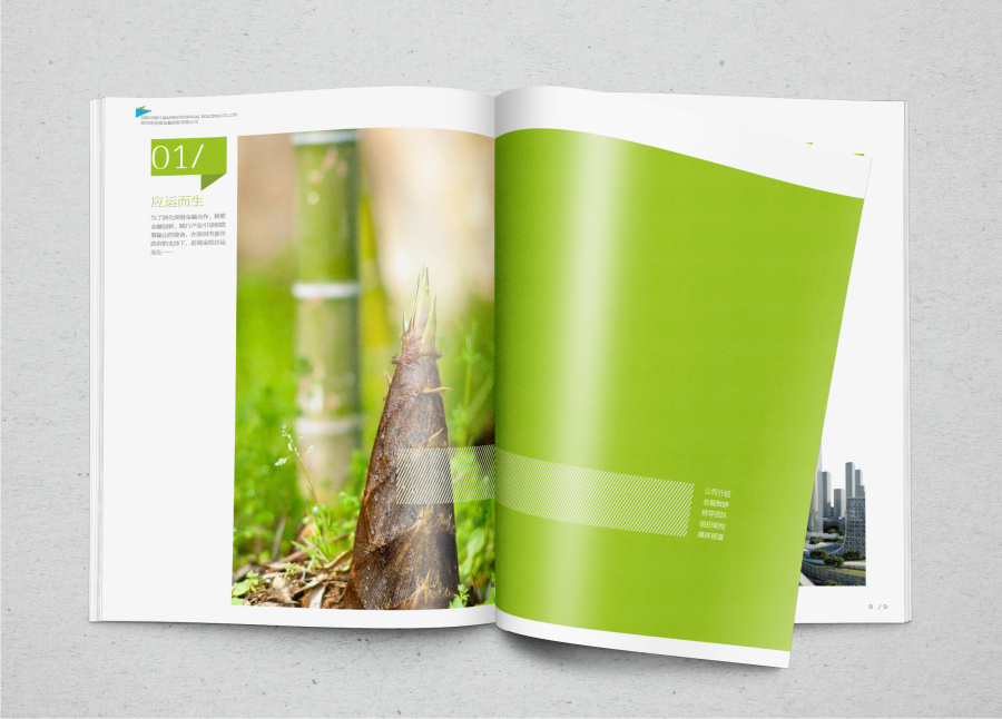 前海金控企业画册设计方案|书装\/画册|平面|鲁禄