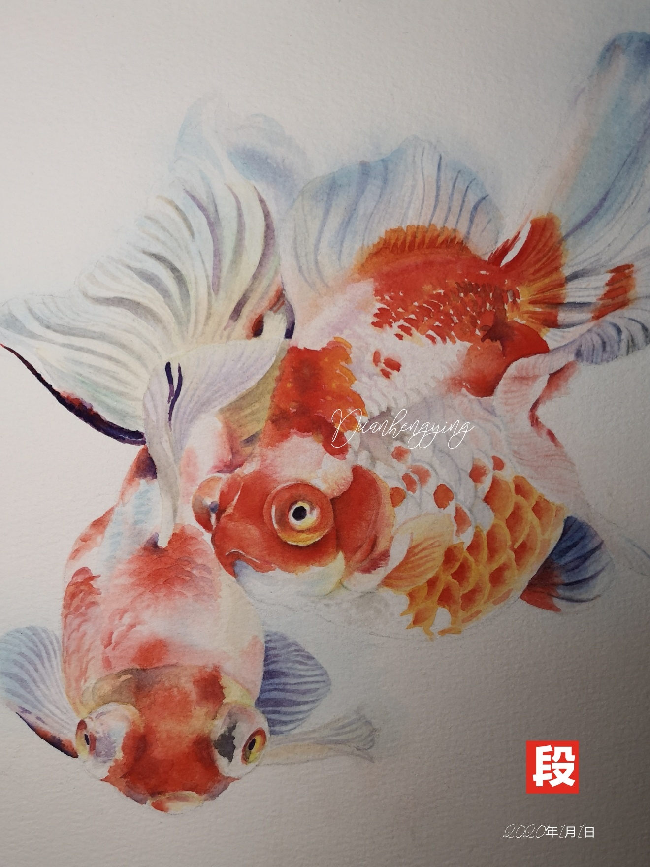 金鱼,如鱼得水|纯艺术|水彩|wodejia88 - 原创作品
