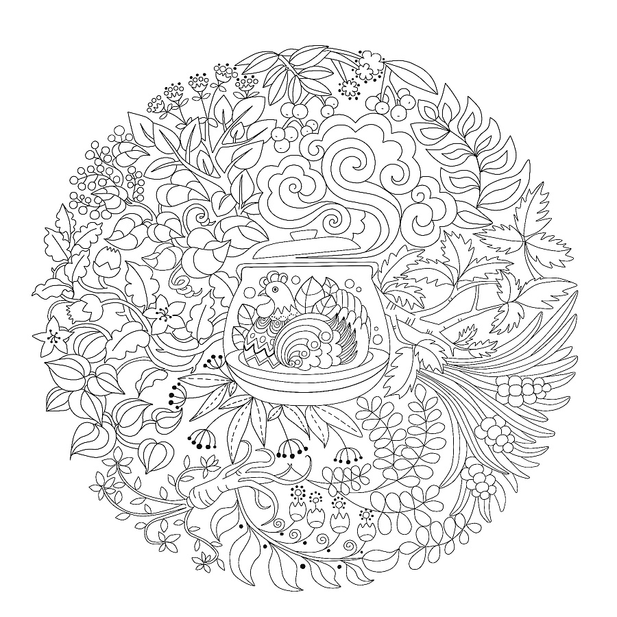 飞鸡的"秘密花园"-线条画装饰绘图(包装插画)|商业插画|插画|Ruaim - 原创设计作品 - 站酷 (ZCOOL)