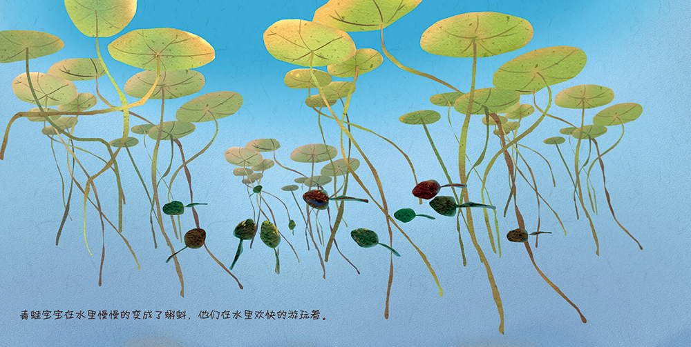小蝌蚪找妈妈(绘本)|插画|儿童插画|覃湘华 - 原创