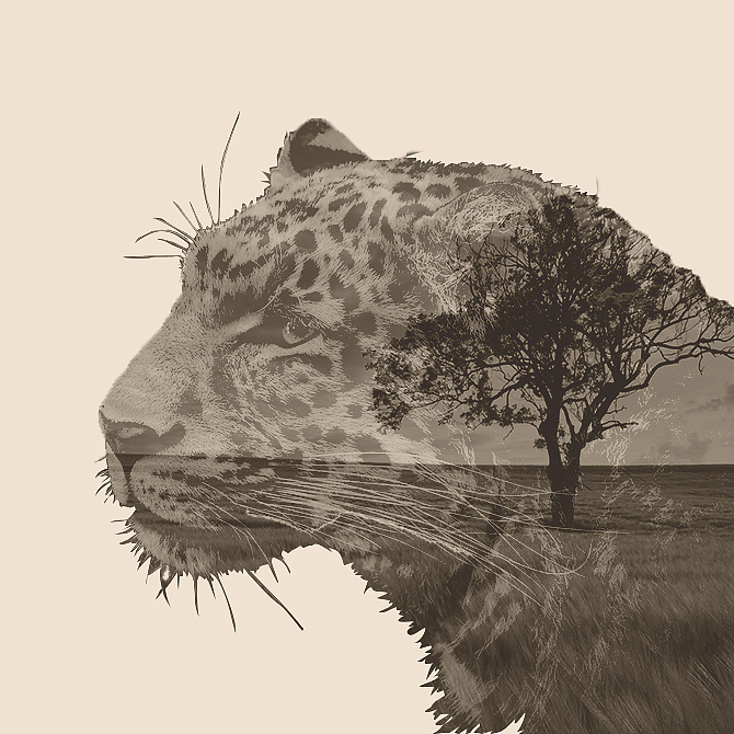 ps双重曝光动物练习