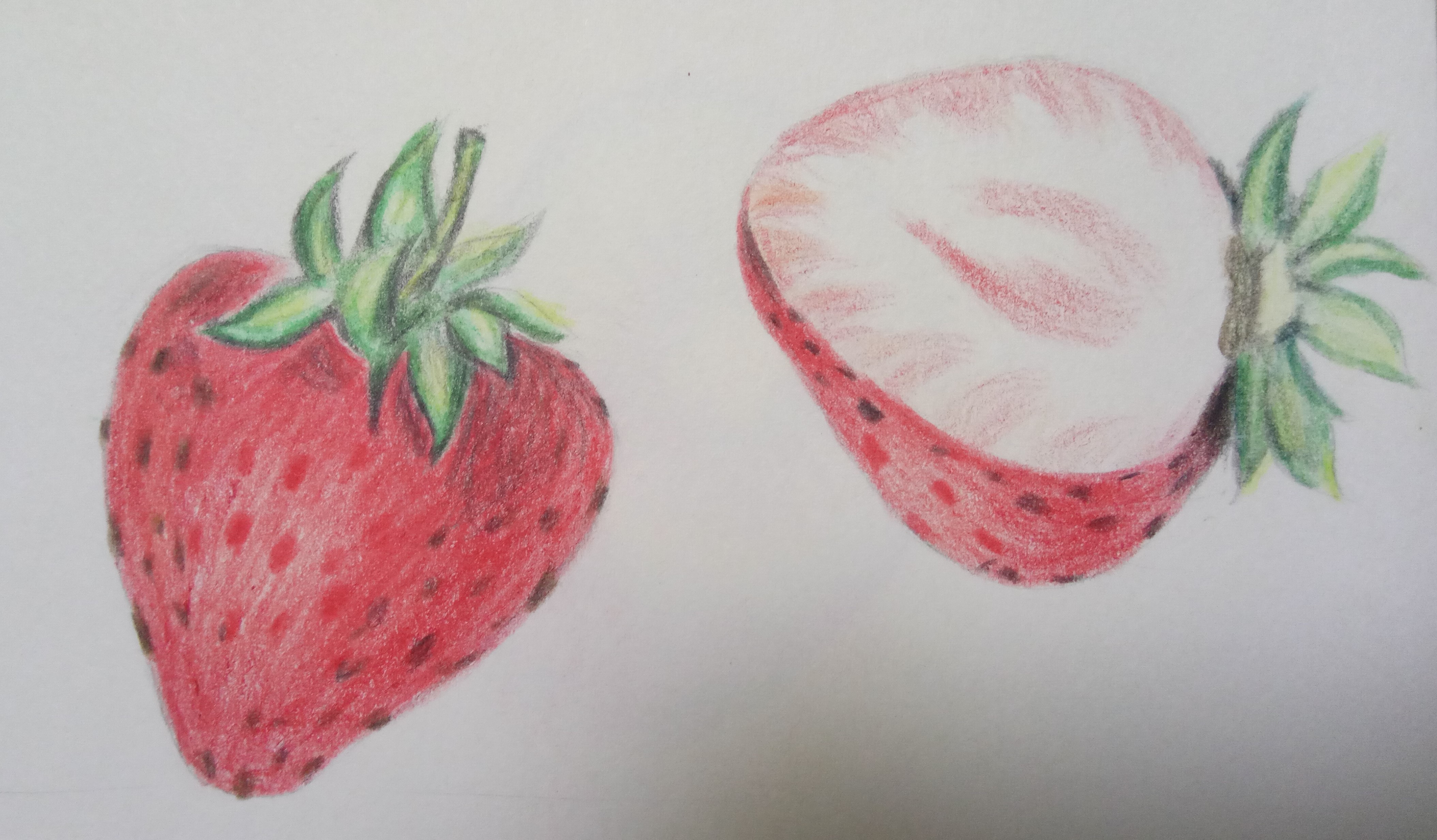 果蔬彩铅画_果蔬彩铅画分享展示