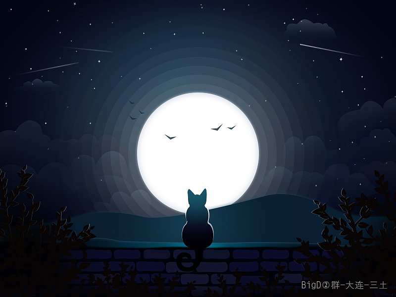 对未来充满希望的猫咪