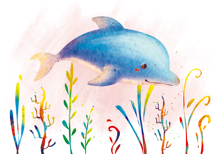 我的小海豚们啊|商业插画|插画|小健哥 - 原创设计作品 - 站酷 (ZCOOL)