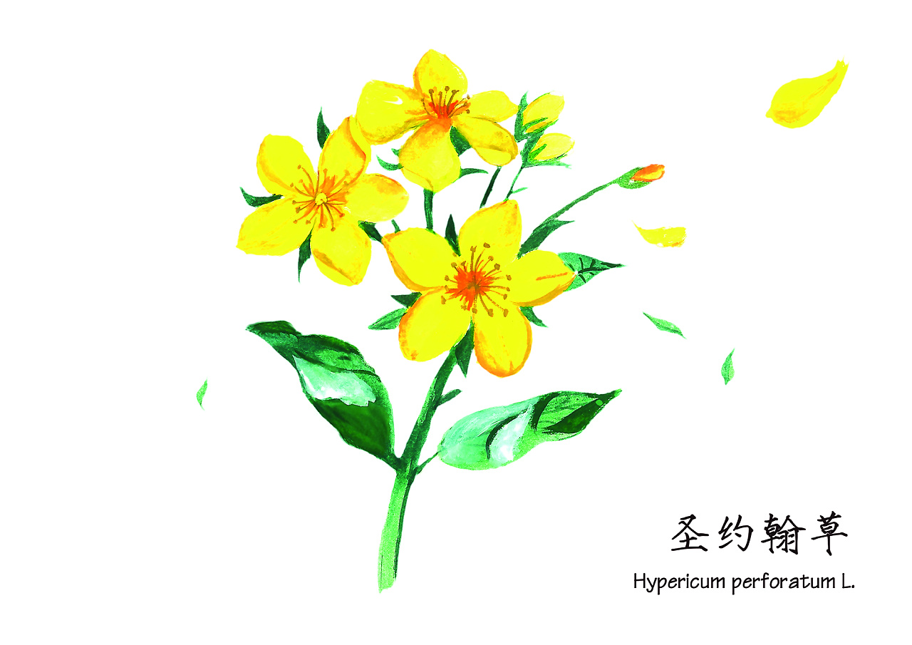 红色文化绘画 堆糖,美图壁纸兴趣社区