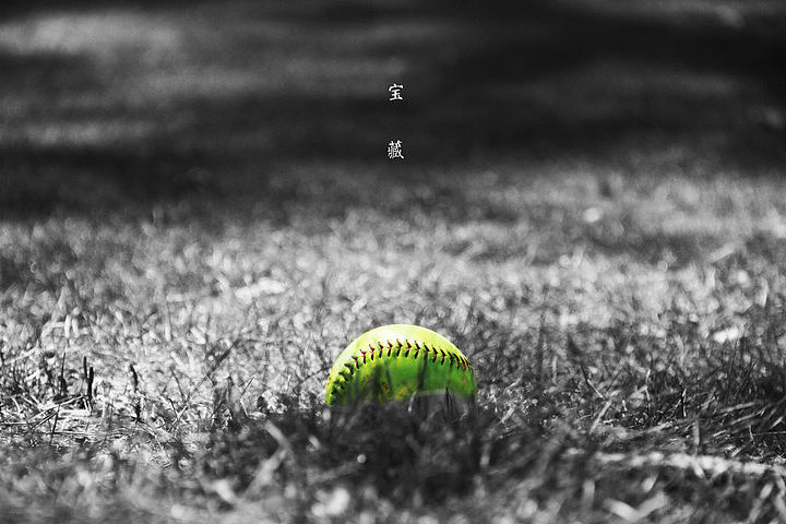 多伦多湖心岛【夏】与Sherwood公园【秋】|摄