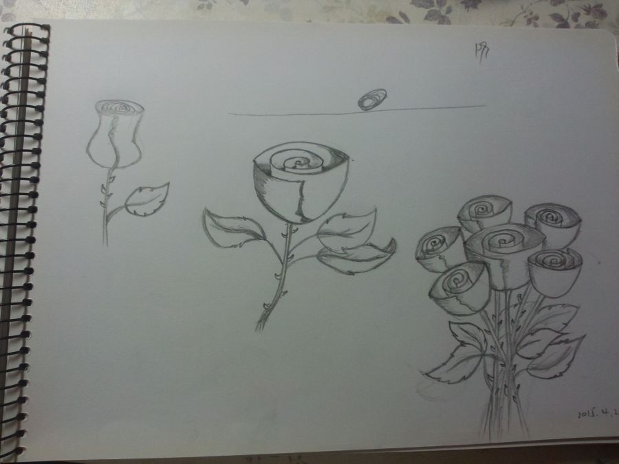 《三十天学会绘画》学习图整理|绘画习作|插画|越大人 - 原创设计作品 - 站酷 (ZCOOL)