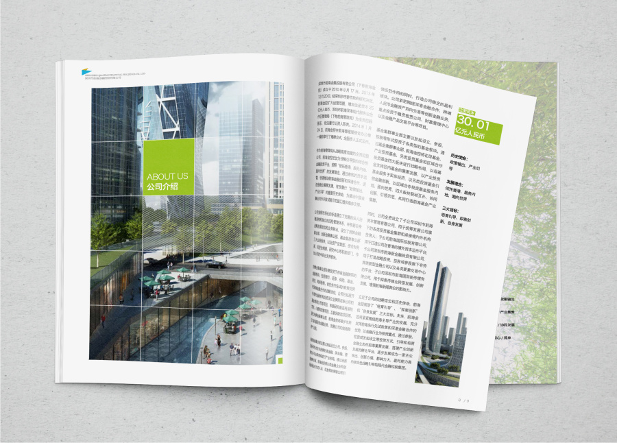 前海金控企业画册设计方案|书装\/画册|平面|鲁禄