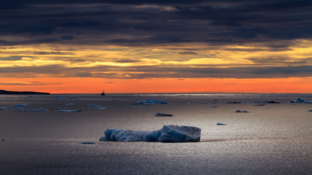 北极之旅作品整理(二)完结
