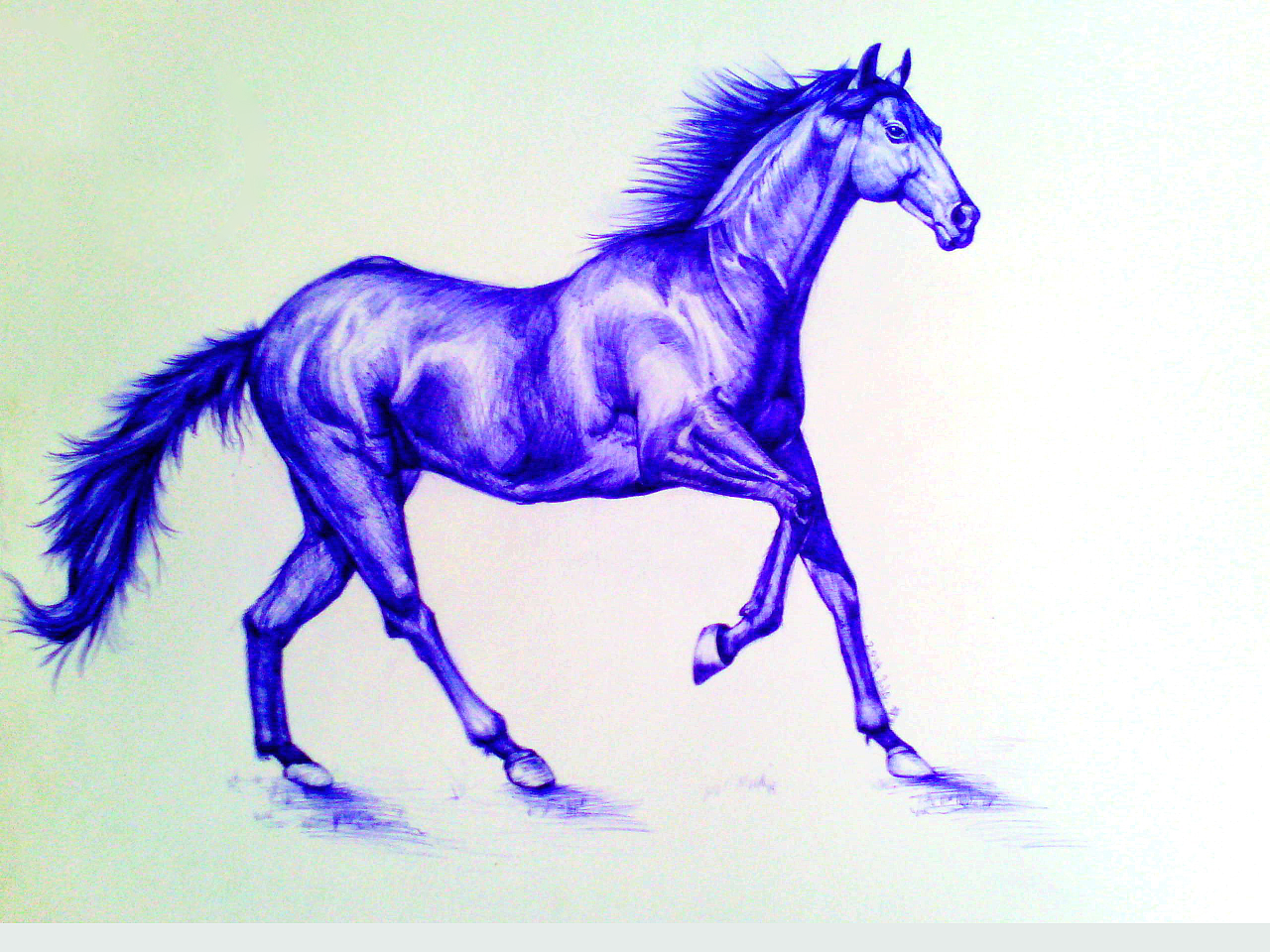圆珠笔的两匹马|插画|插画习作|忠艾 - 原创作品