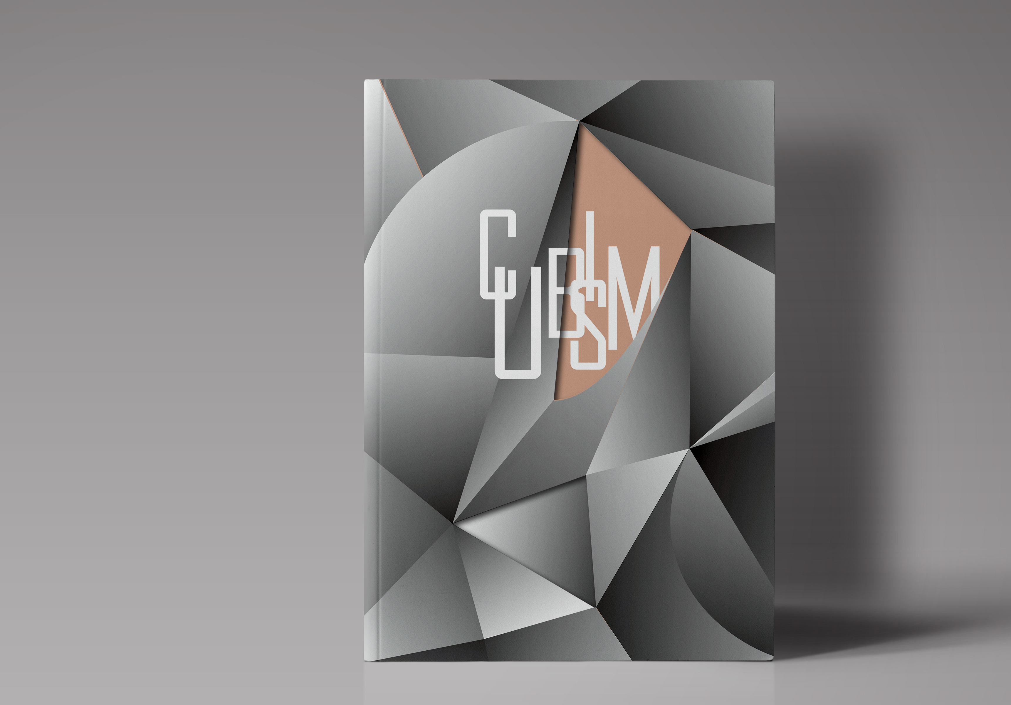 "cubism"立体主义画册版式设计