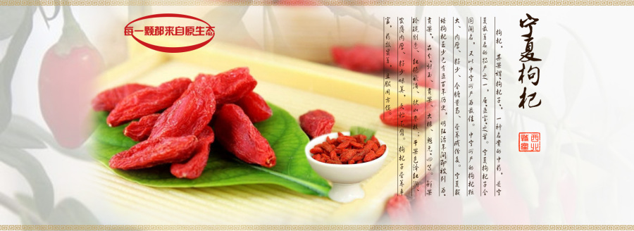 西北特产banner广告设计|Banner\/广告图|网页|禅