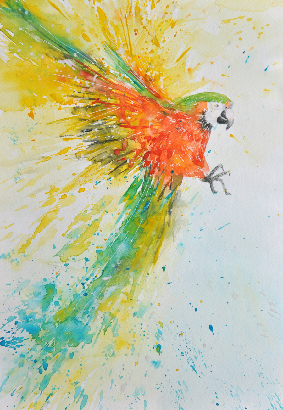 鹦鹉|绘画习作|插画|80三点一线 - 原创设计作品