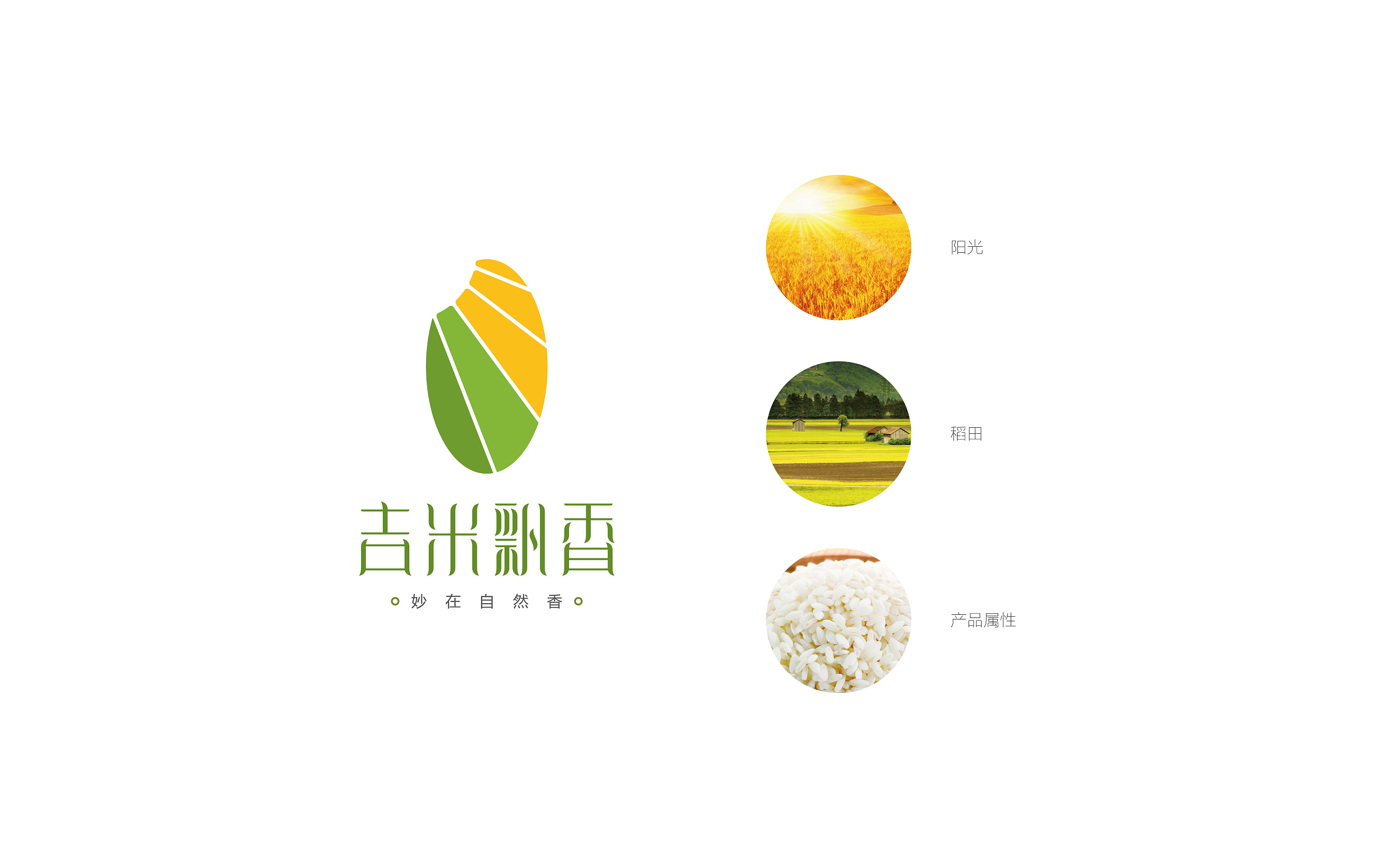 大米logo与包装