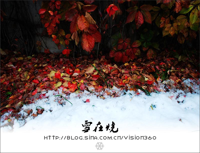 雪在烧|风光|摄影|vision360 - 原创设计作品 - 站