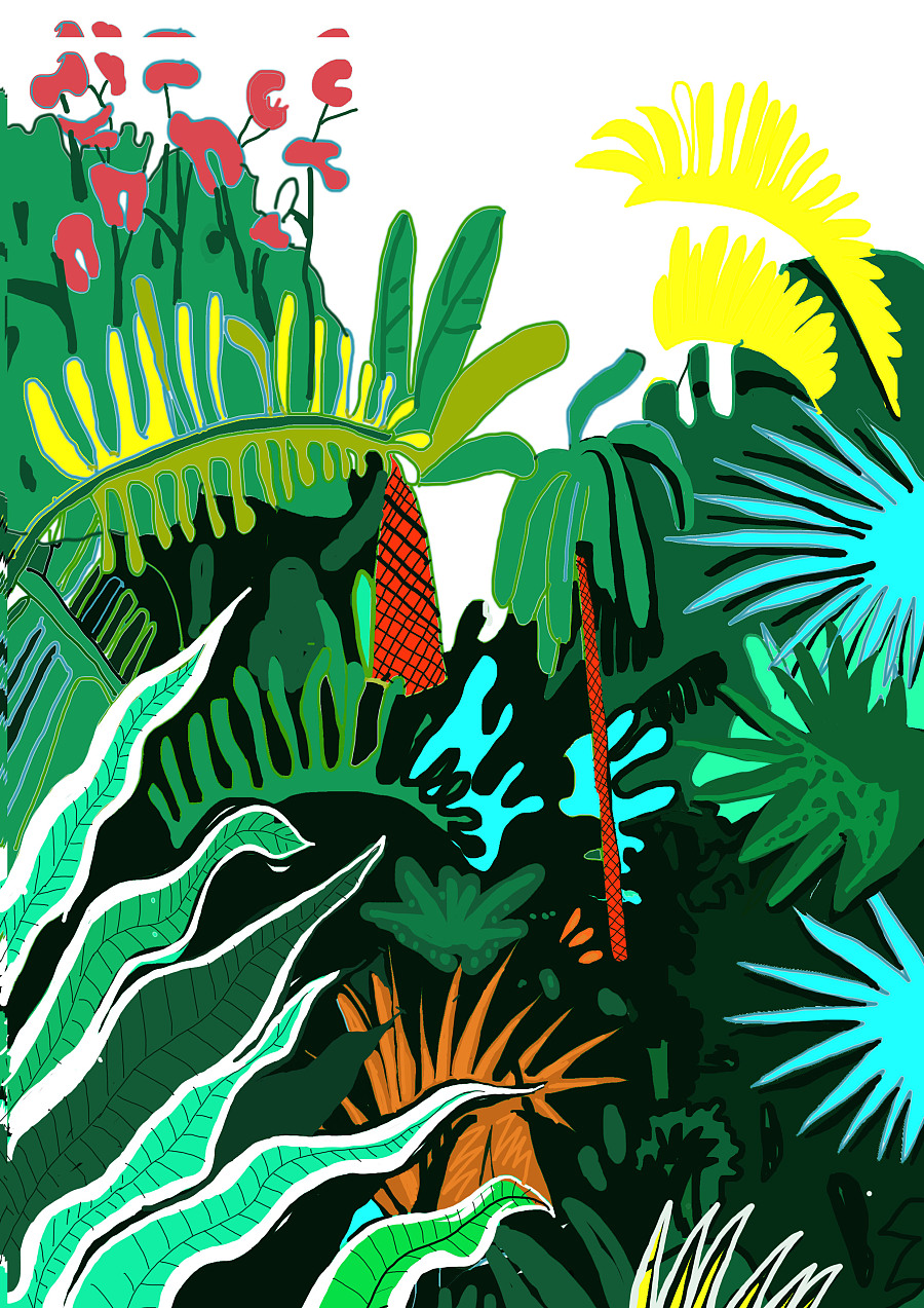 亚马逊森林|商业插画|插画|abc386866 - 原创设