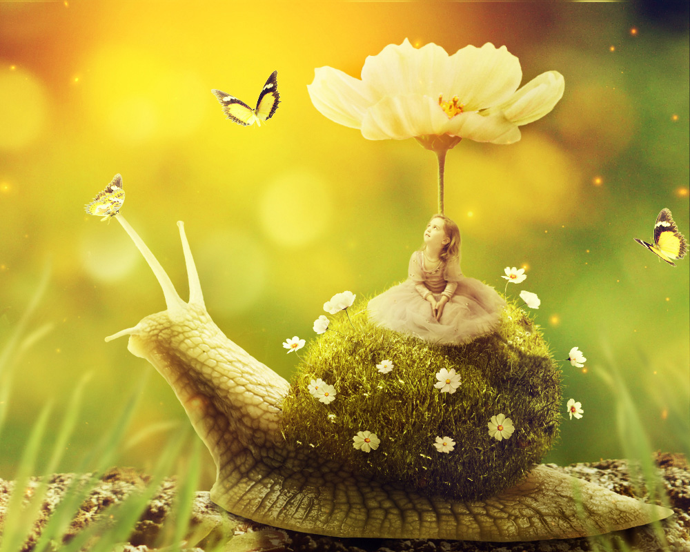 创意海报 创意合成坐在蜗牛上的小花仙子