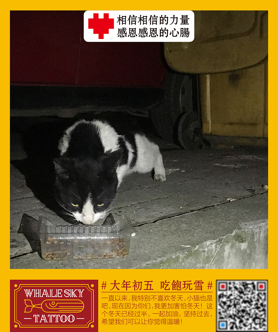 分享红包 请流浪小猫吃年饭活动海报|海报|平面