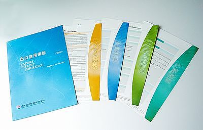 信用钱包_出口信用保险收入