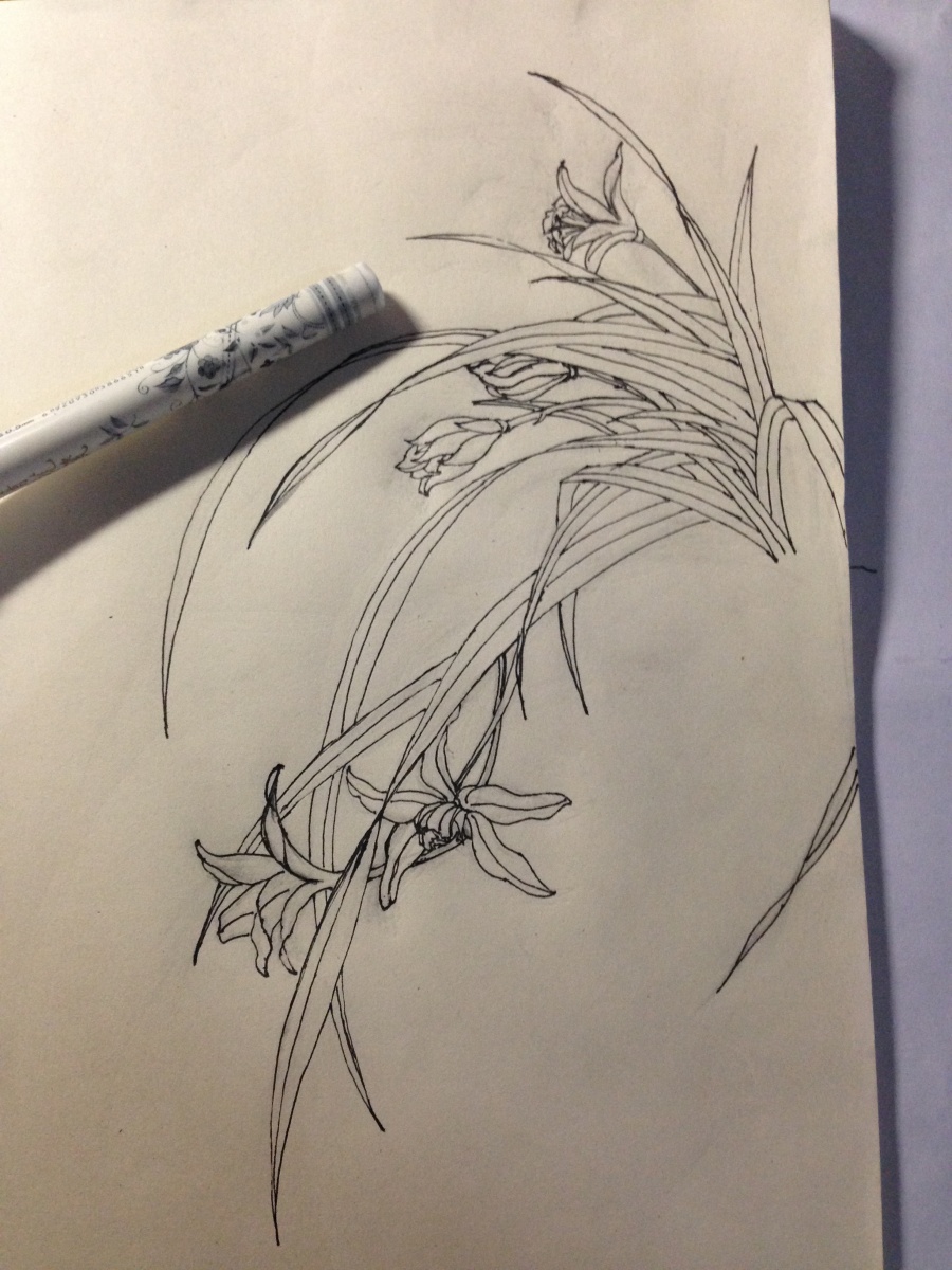 原创【兰花小品】-彩铅画--2016-初夏|彩铅|纯艺