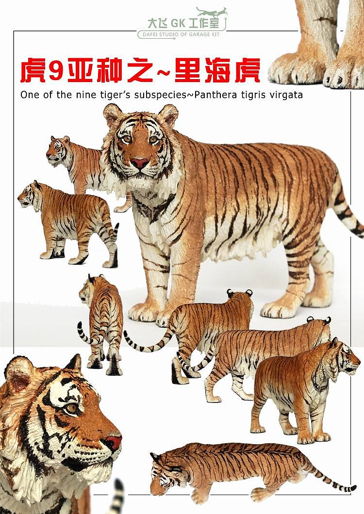【大飞gk工作室】动物模型制作——虎九亚种之第三款