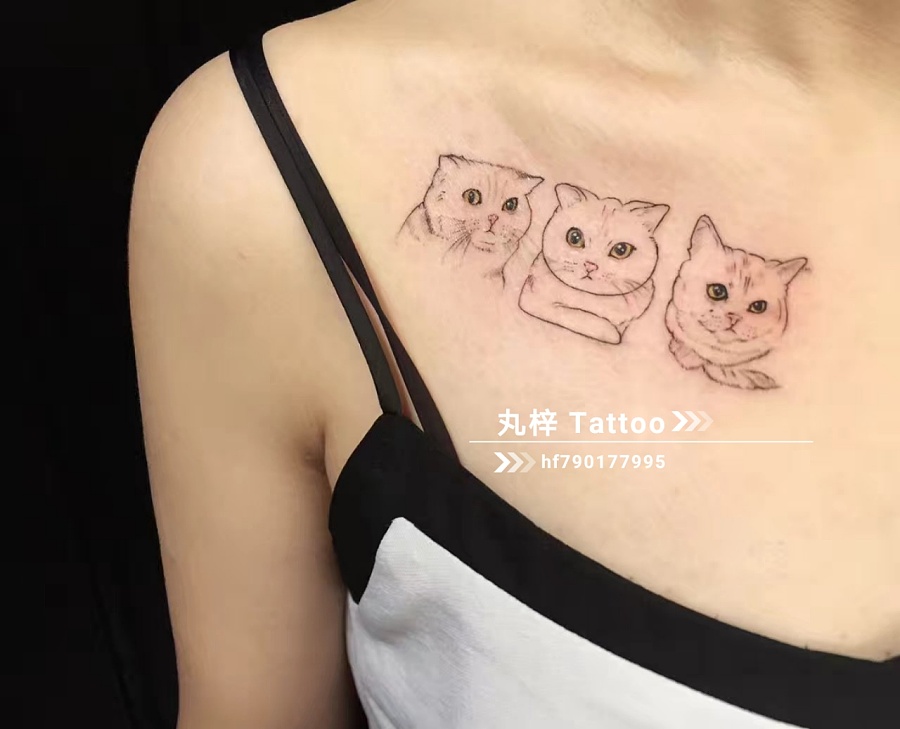 纹身小猫图案小清新内容图片分享