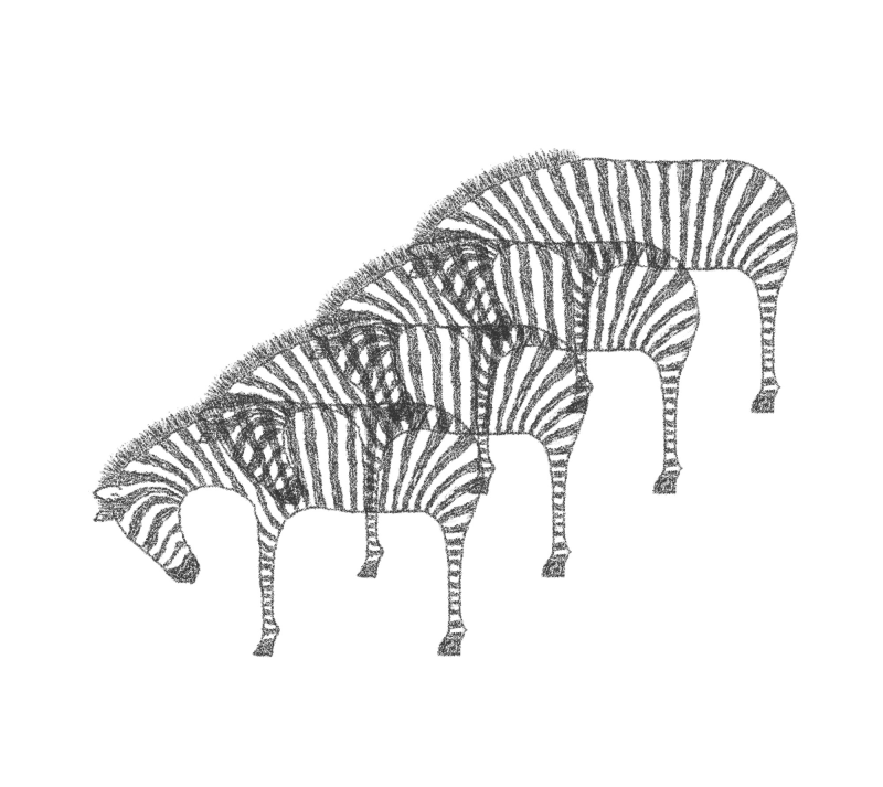 好无聊的动物园 斑马