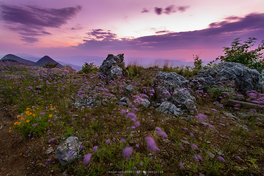 风林火山|风光|摄影|妖疯 - 原创设计作品 - 站酷