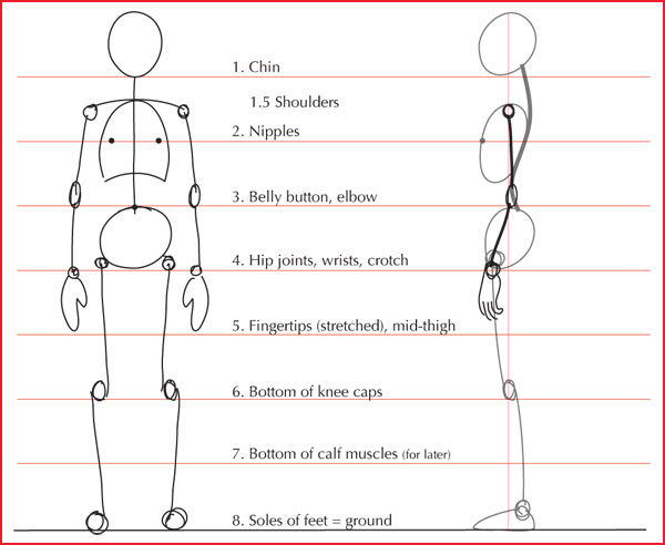 人体手绘学基础:身体比例