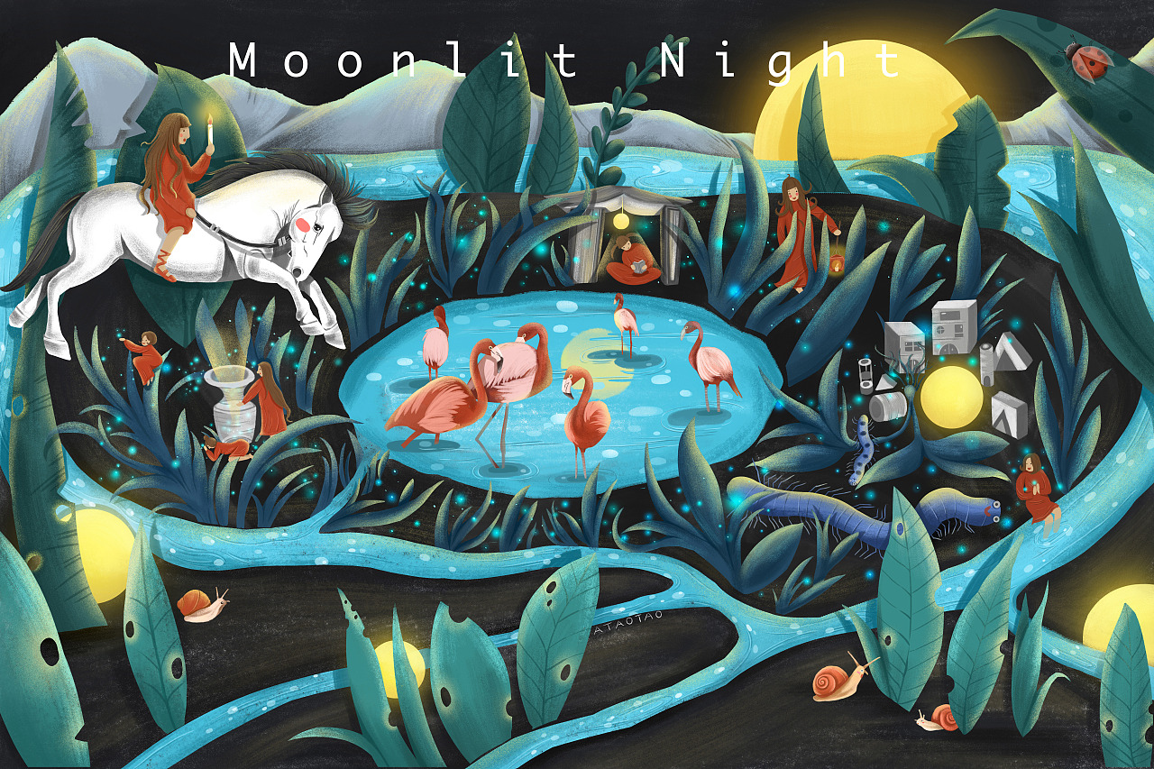 〔夜晚的故事〕-月夜-为你照亮前往的路