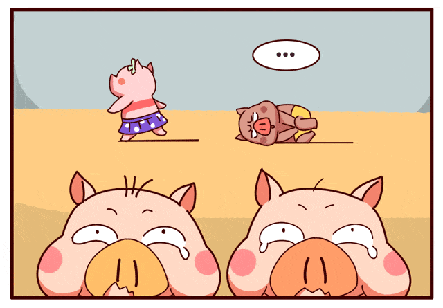 胖次猪厦门游记