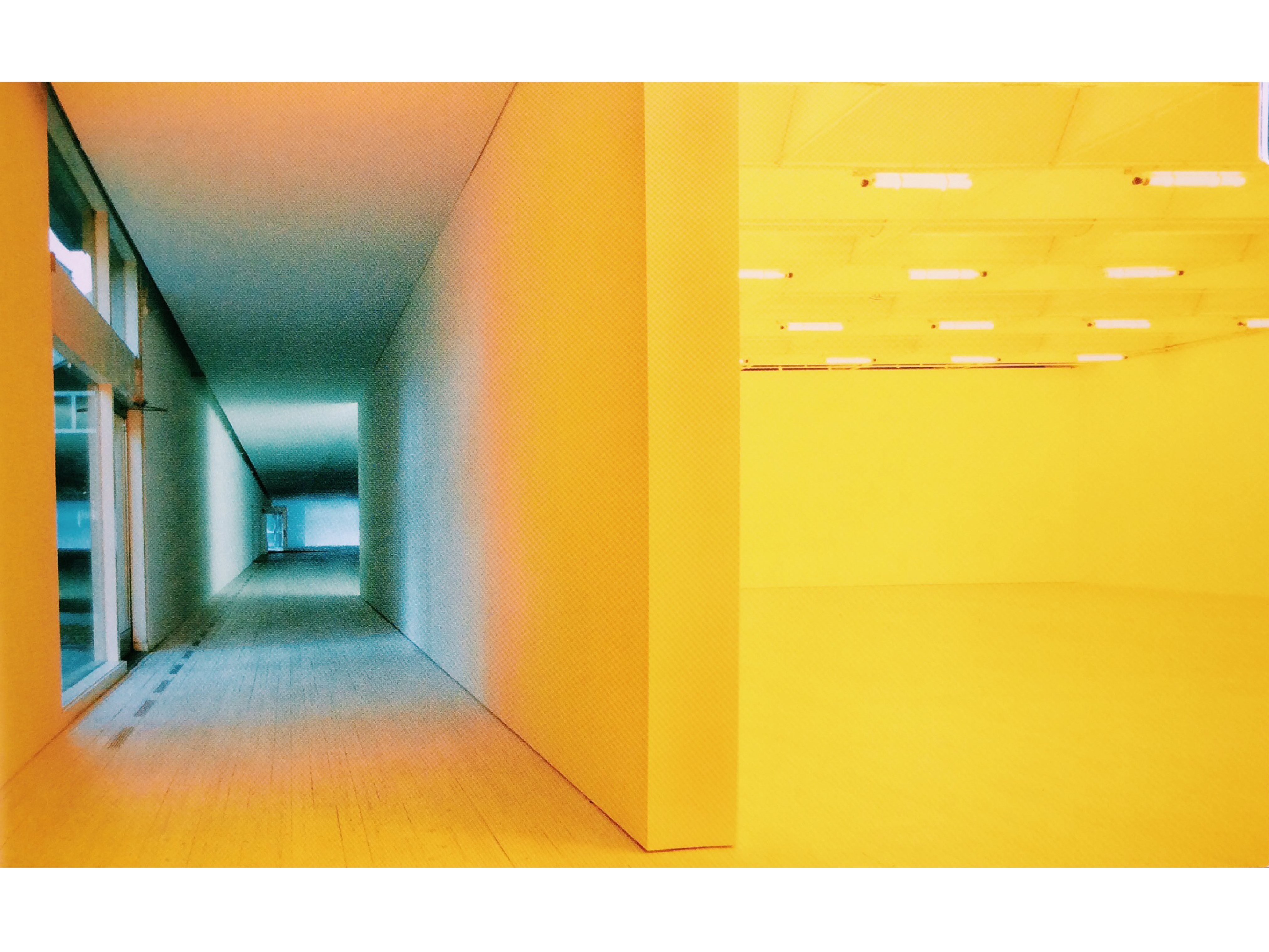 Eliasson Light Installation Views |奥拉夫埃利亚