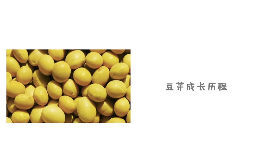 豆芽教育工作室logo设计(一)