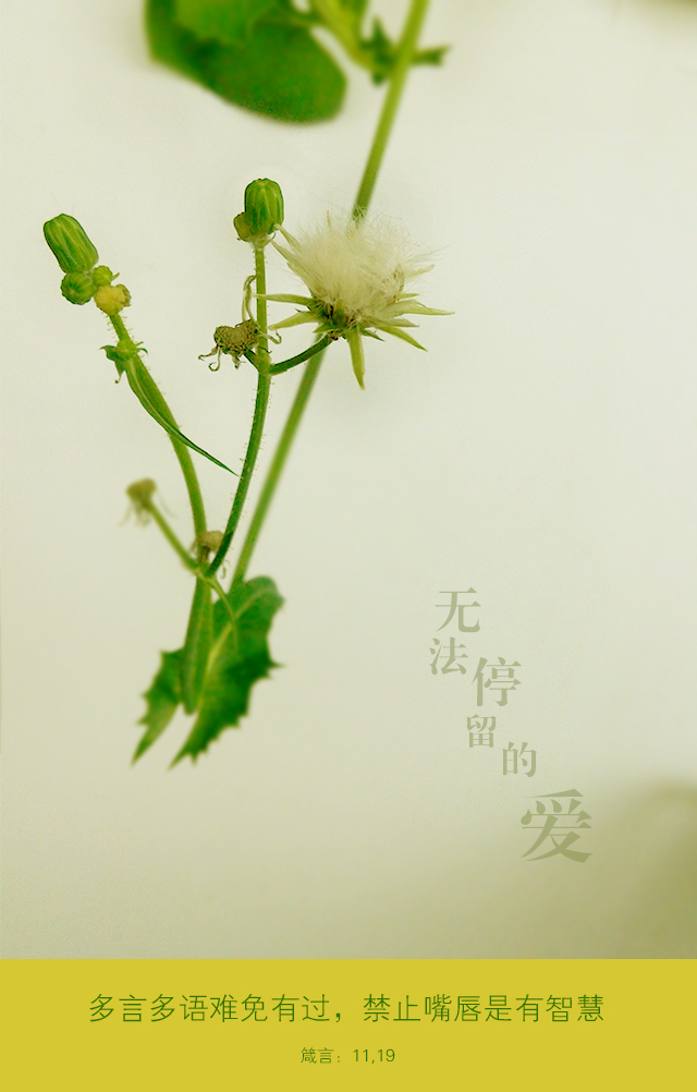 文字|其他平面|平面|路青尘 - 原创设计作品 - 站