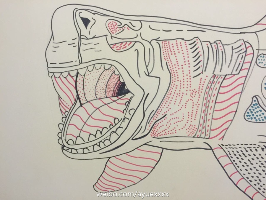 首次用手机app,方便。帮朋友墙体绘画|绘画习