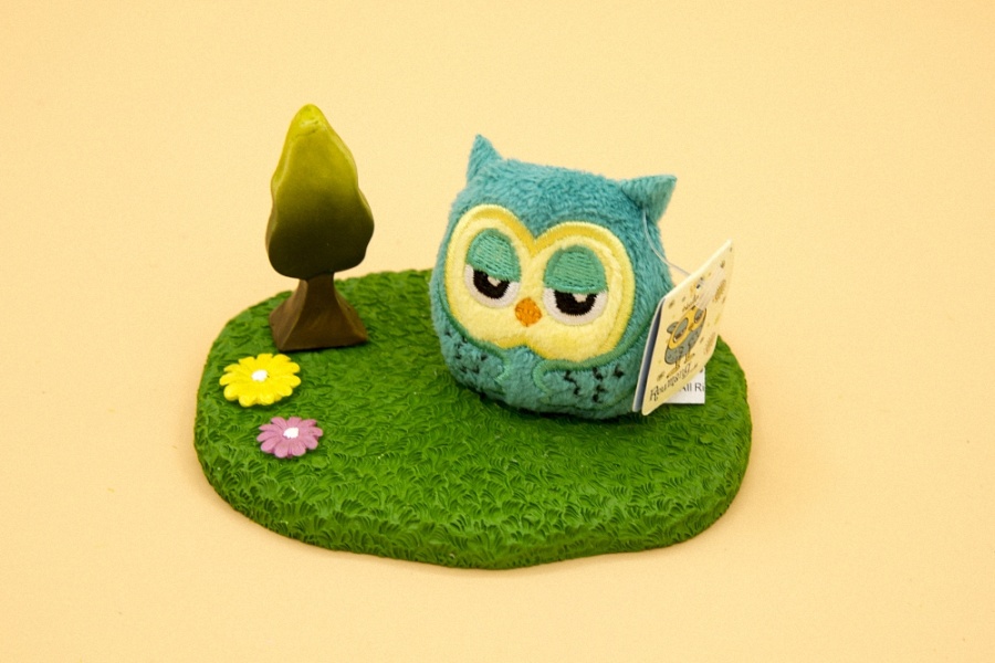 新年限量福袋。淘宝店铺名:淳强画廊。|静物|摄