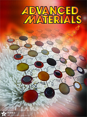 材料与化学期刊封面Advanced Materials|平面|书