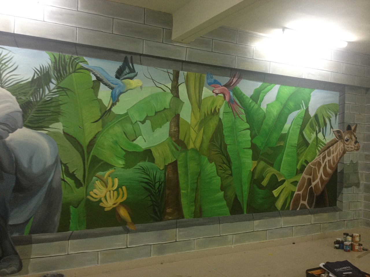 珠海壁画 原创 香洲华南名宇幼儿园3d《热带雨林》