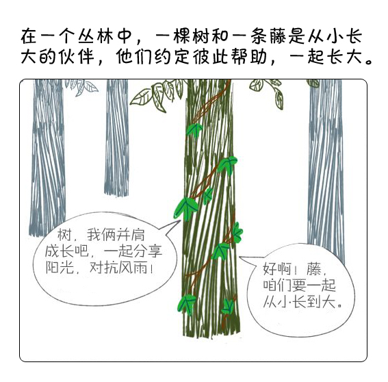 {与树有关的故事}.