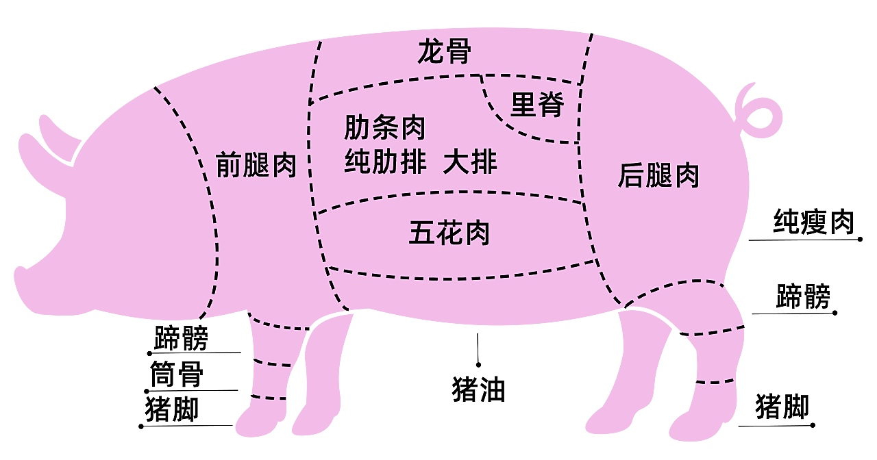 猪肉分割图 部位图 psd分层图 ai矢量图