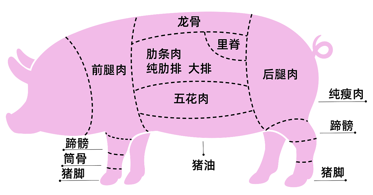 猪肉分割图 部位图 psd分层图 ai矢量图