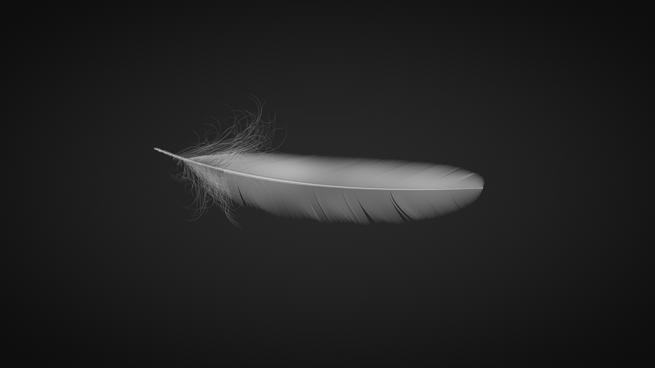 c4d制作的羽毛 feather 3d三维羽毛 3d三维全息模型