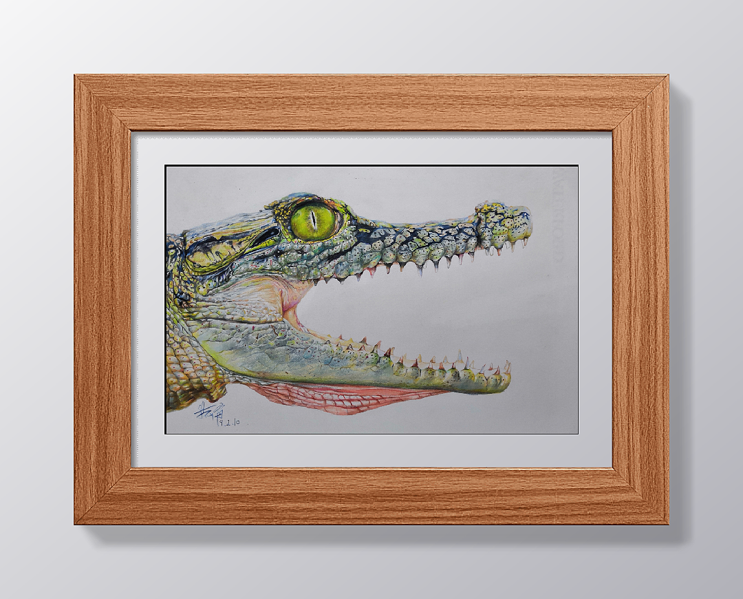彩铅鳄鱼|纯艺术|绘画|普蓝加深红 - 原创作品 - 站酷 (zcool)