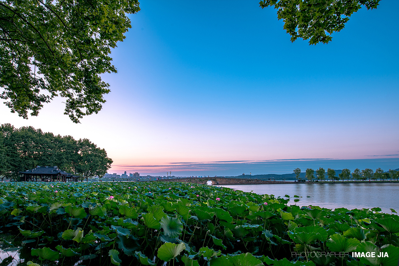 杭州西湖的平湖秋月-亿奇云课