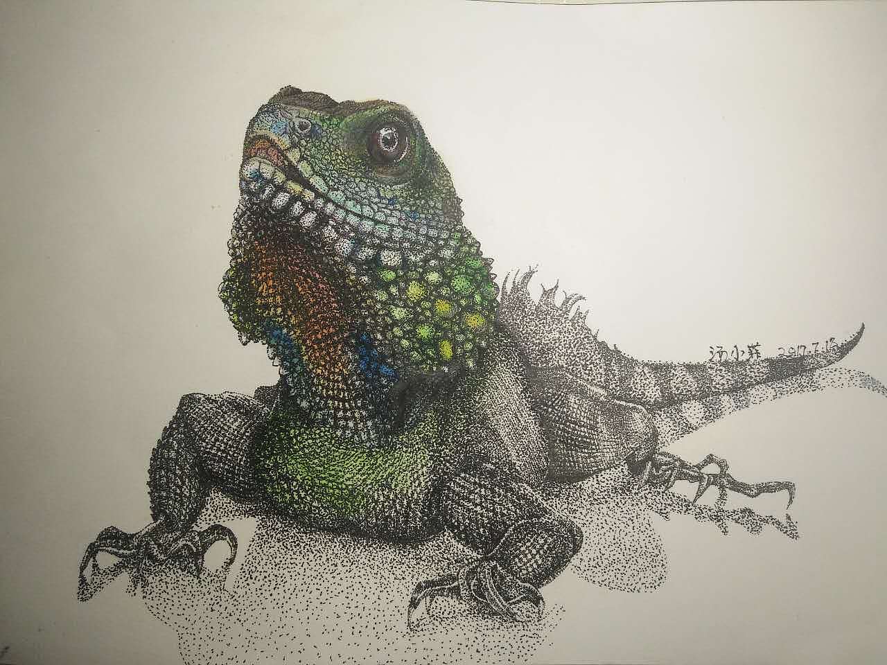 点绘蜥蜴|纯艺术|钢笔画|汤小菲 - 原创作品 - 站酷