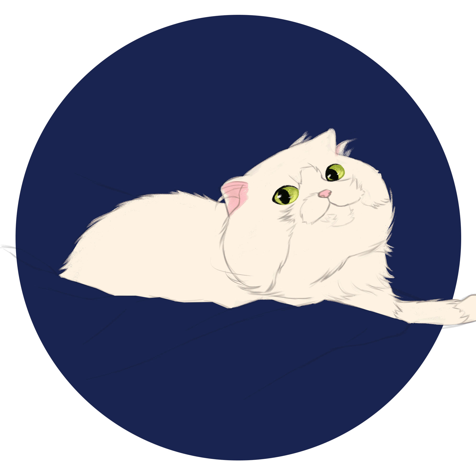 猫咪集合图
