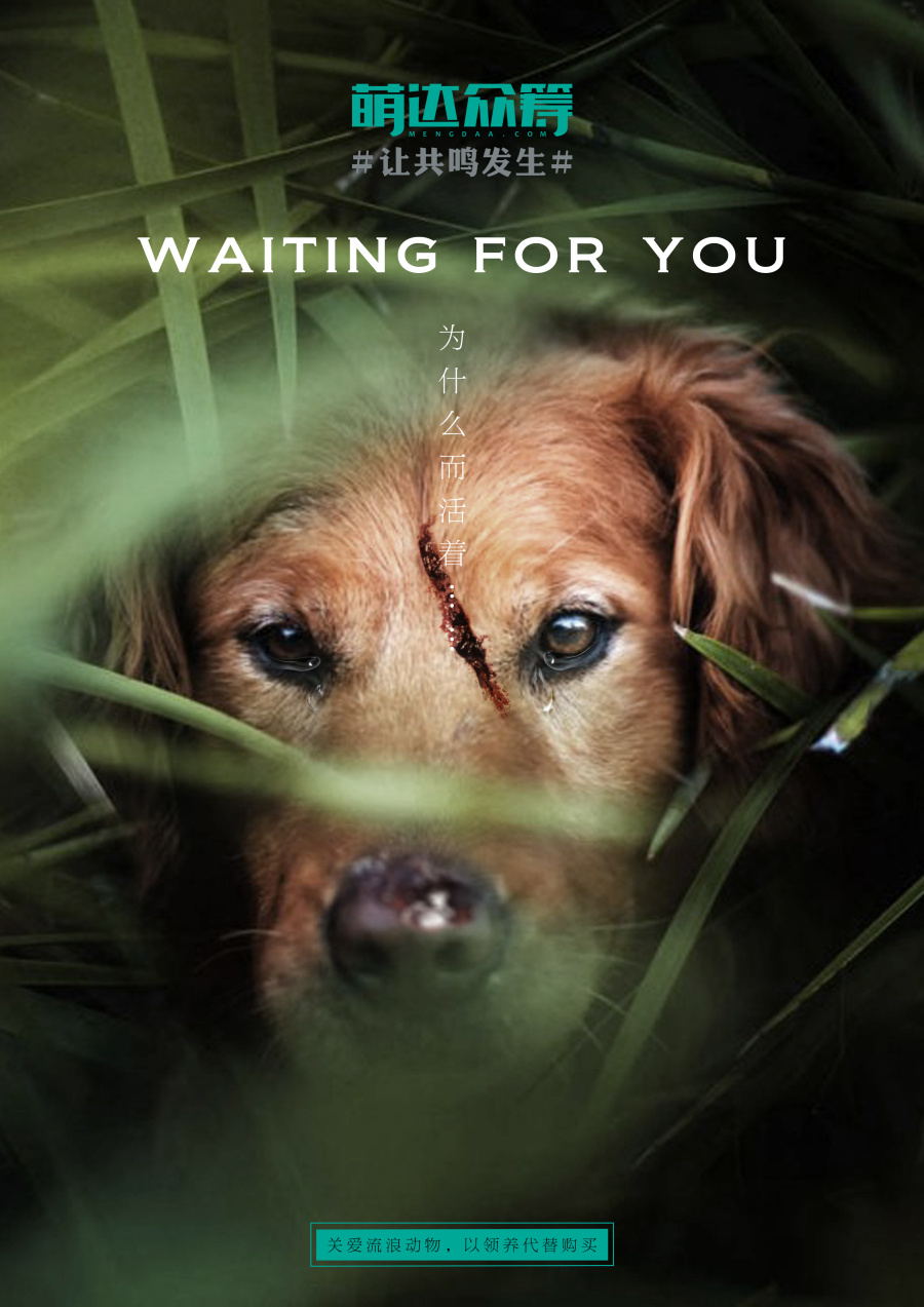 为什么而活着|海报|平面|THINKMORE_loki - 原